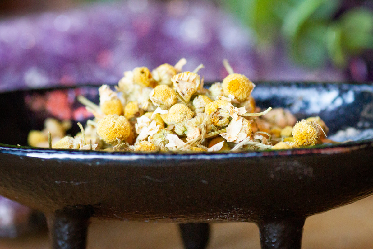 Dried Berries, Flowers, Loose Herbs, Resins, Wood