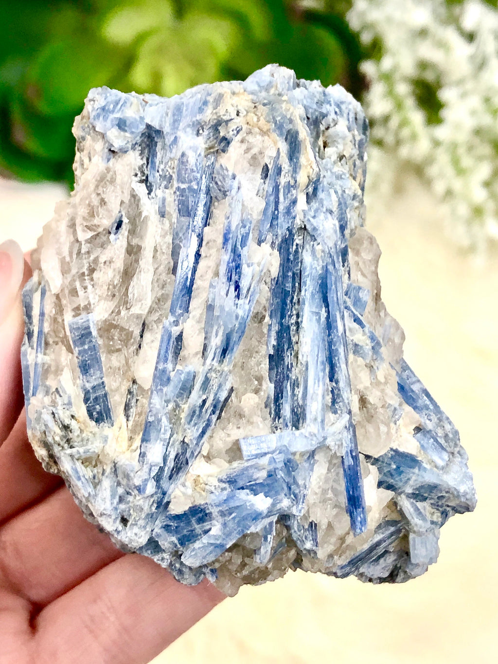 Raw Blue Kyanite Crystal Cluster 68mm AAB - Throat & Third-Eye Crystal