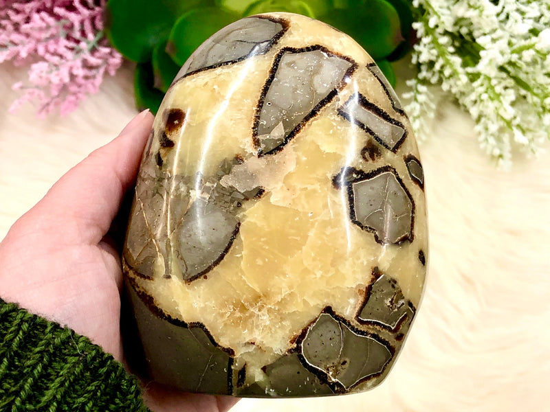 Septarian Nodule Yellow Calcite  Freeform 105mm AAD