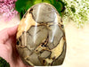 Septarian Nodule Yellow Calcite  Freeform 105mm AAD