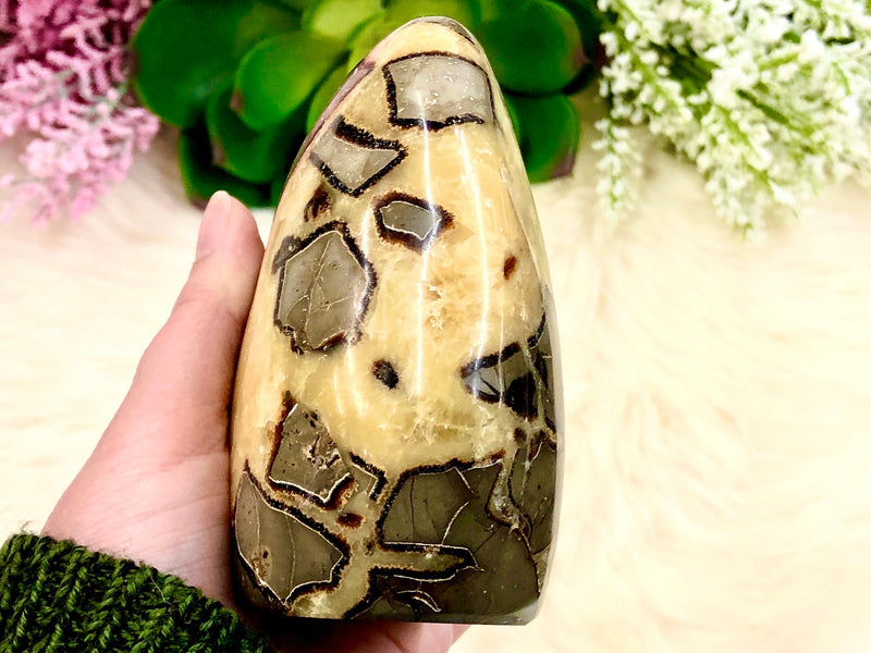 Septarian Nodule Yellow Calcite  Freeform 105mm AAD