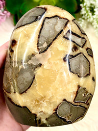 Septarian Nodule Yellow Calcite  Freeform 105mm AAD