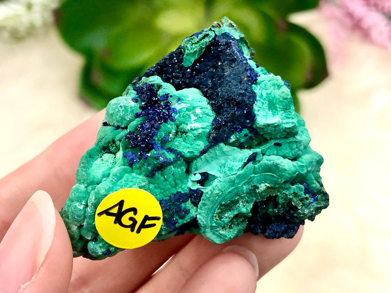 Real Azurite Malachite Cluster 47mm AGF - Crown - Third Eye - Heart Chakra