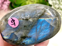 Labradorite Palmstone 68mm AJT