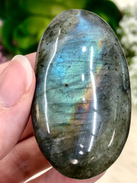 Labradorite Palmstone 64mm AJU