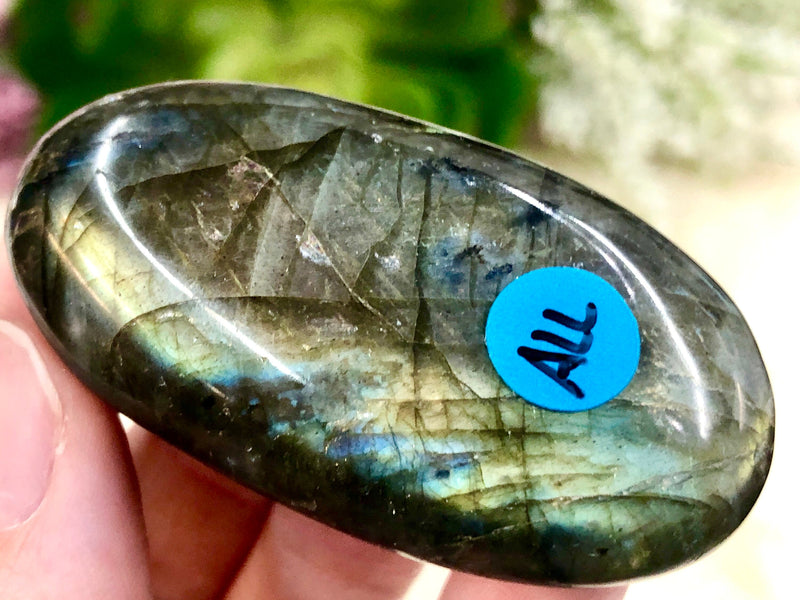 Labradorite Palmstone 58mm ALL