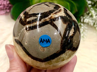 Septarian Nodule Sphere 64mm AMA - Grounding Crystals