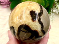 Septarian Nodule Sphere 64mm AMA - Grounding Crystals