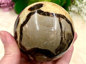 Septarian Nodule Sphere 64mm AMA - Grounding Crystals