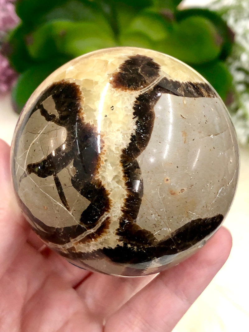 Septarian Nodule Sphere 64mm AMA - Grounding Crystals