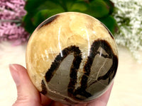 Septarian Nodule Sphere 64mm AMA - Grounding Crystals