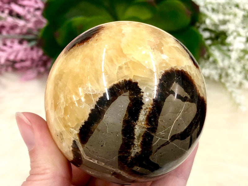 Septarian Nodule Sphere 64mm AMA - Grounding Crystals