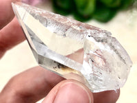 Genuine Lemurian Seed Crystal 49mm AMW - Crown Chakra