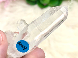 Genuine Lemurian Seed Crystal 58mm AMY - Crown Chakra
