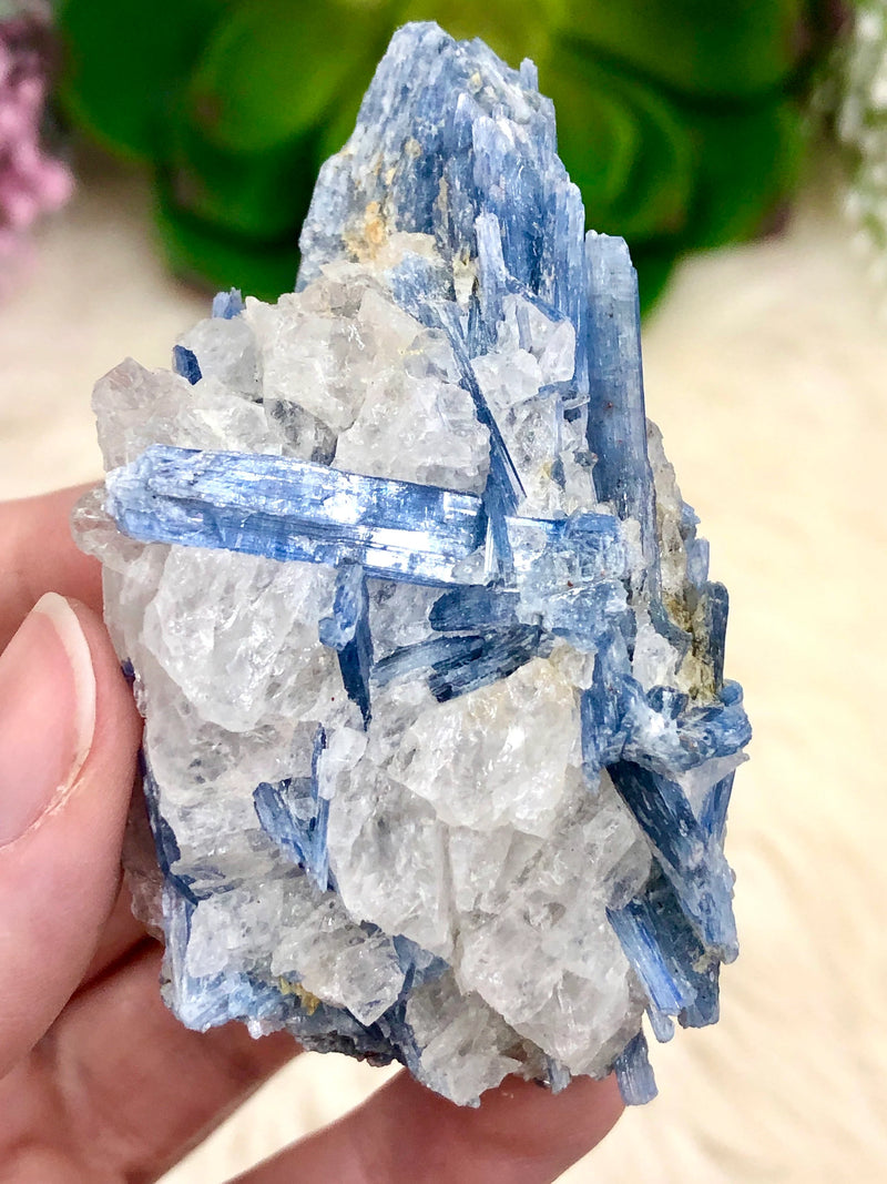 Raw Blue Kyanite Crystal Cluster 70mm ANR - Throat & Third-Eye Crystal