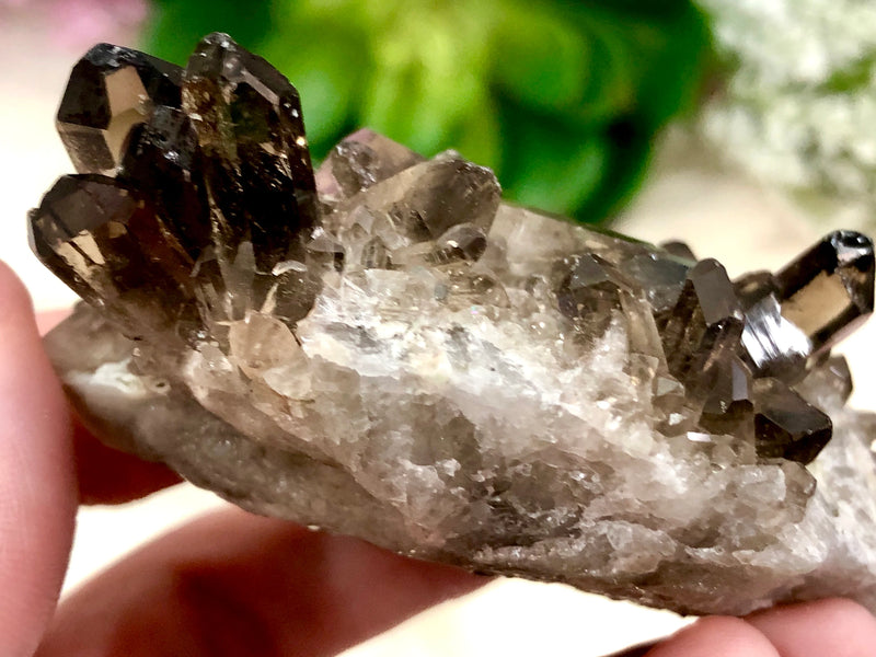 Raw Smoky Quartz Cluster 68mm AQB - Crystal Grid - Altar Decor - Purification Crystal - Intuition - Grounding