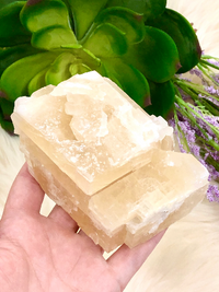 Honey Calcite Raw Freeform 98mm LR - Solar Plexus Chakra Stone