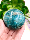 Blue Apatite Sphere 61mm LW - Third Eye & Throat Chakra Healing Crystal