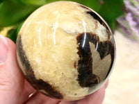 Septarian Nodule Sphere 52mm TO - Grounding Crystals