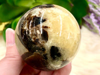 Septarian Nodule Sphere 52mm TO - Grounding Crystals