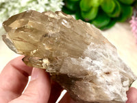 Kundalini Citrine Point 85mm AAQ - Natural Citrine Cluster - Crystal Grid - Altar Decor - Chakra Healing & Balancing Manifestation Stone