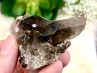 Raw Smoky Quartz Cluster 59mm AQA - Crystal Grid - Altar Decor - Purification Crystal - Intuition - Grounding