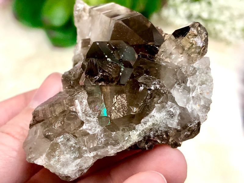 Raw Smoky Quartz Cluster 59mm AQA - Crystal Grid - Altar Decor - Purification Crystal - Intuition - Grounding