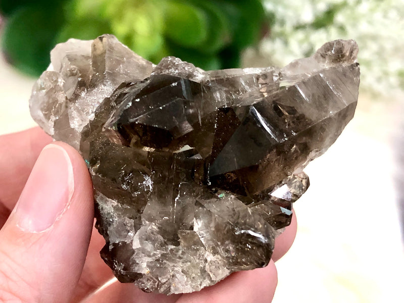 Raw Smoky Quartz Cluster 59mm AQA - Crystal Grid - Altar Decor - Purification Crystal - Intuition - Grounding