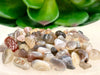 Botswana Agate Gem Chips - Root Chakra Stone - Loose Crystals - Spell Jar - Intention Tools