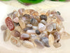 Botswana Agate Gem Chips - Root Chakra Stone - Loose Crystals - Spell Jar - Intention Tools