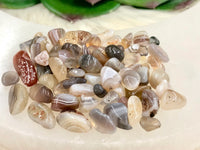 Botswana Agate Gem Chips - Root Chakra Stone - Loose Crystals - Spell Jar - Intention Tools