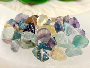 Fluorite Gem Chips - Chakra Balancing Stone - Loose Crystals - Spell Jar - Intention Tools