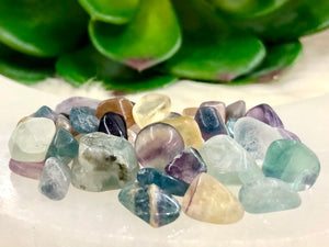 Fluorite Gem Chips - Chakra Balancing Stone - Loose Crystals - Spell Jar - Intention Tools