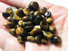 Tiger Eye Gem Chips - Solar Plexus Chakra Stone - Loose Crystals - Spell Jar - Intention Tools