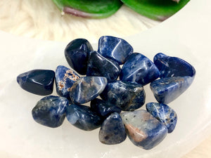 Sodalite Gem Chips - Heart & Throat Chakra Stone - Loose Crystals - Spell Jar - Intention Tools