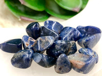 Sodalite Gem Chips - Heart & Throat Chakra Stone - Loose Crystals - Spell Jar - Intention Tools