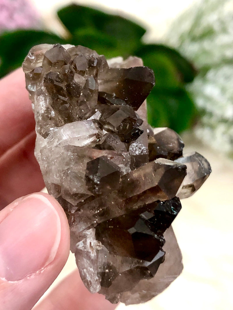 Raw Smoky Quartz Cluster 58mm AQC - Crystal Grid - Altar Decor - Purification Crystal - Intuition - Grounding