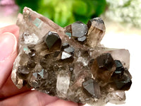 Raw Smoky Quartz Cluster 58mm AQC - Crystal Grid - Altar Decor - Purification Crystal - Intuition - Grounding