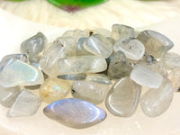 Labradorite Gem Chips - Loose Crystals - Spell Jar - Intention Tools