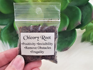 Dried Chicory Root