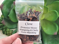 Clove - Dried Herbs