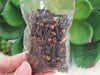 Clove - Dried Herbs