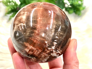 Petrified Wood Sphere 72mm GK