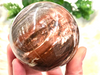 Petrified Wood Sphere 72mm GK