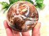 Petrified Wood Sphere 72mm GK