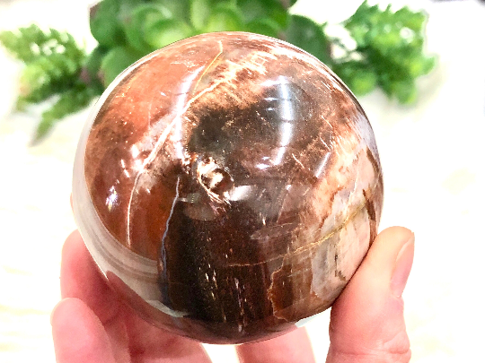 Petrified Wood Sphere 72mm GK