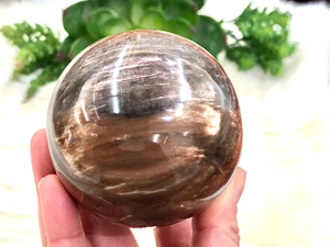 Petrified Wood Sphere 72mm GK