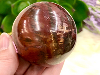 Petrified Wood Sphere 53mm TK - Third Eye & Root Chakra Stone