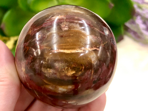 Petrified Wood Sphere 53mm TK - Third Eye & Root Chakra Stone