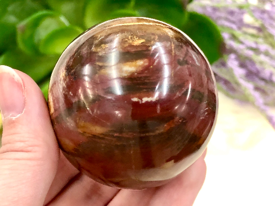 Petrified Wood Sphere 53mm TK - Third Eye & Root Chakra Stone